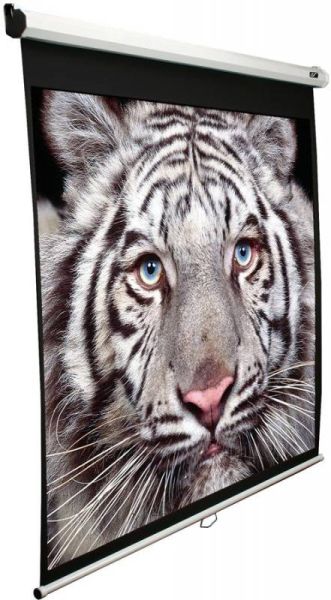 Экран для проектора Elite Screens 203x203см Manual M113NWS1 1:1 настенно-потолочный рулонный белый